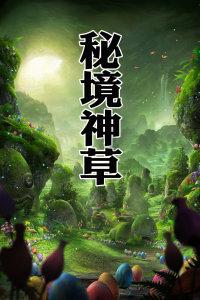 青春礼记